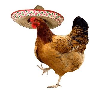 Meet your Posher, Ramon